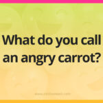 What do you call an angry carrot?