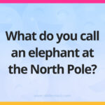 What do you call an elephant at the North Pole?