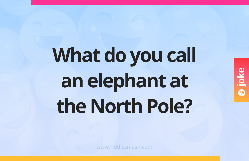 What do you call an elephant at the North Pole?