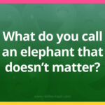 What do you call an elephant that doesn't matter?