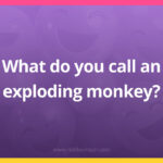 What do you call an exploding monkey?