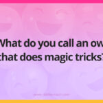 What do you call an owl that does magic tricks?