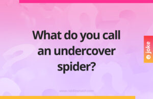 What do you call an undercover spider?