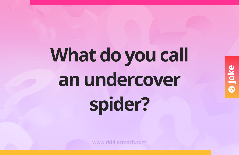 What do you call an undercover spider?