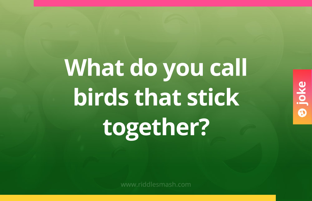 What do you call birds that stick together?