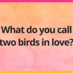 What do you call two birds in love?