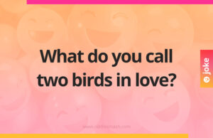 What do you call two birds in love?