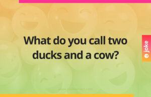 What do you call two ducks and a cow?