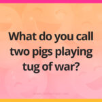 What do you call two pigs playing tug of war?