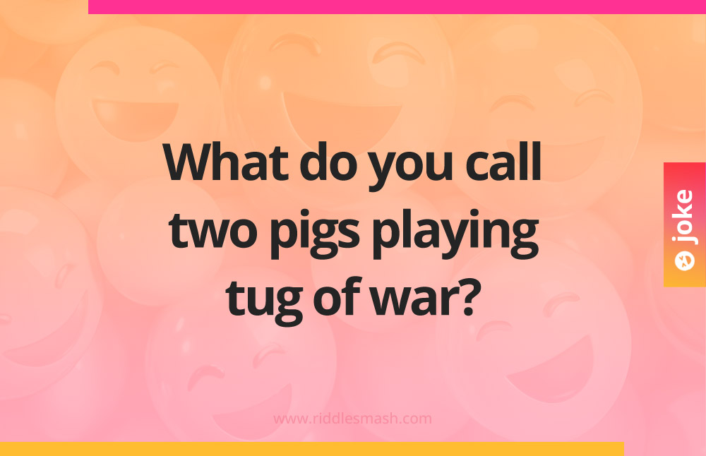 What do you call two pigs playing tug of war?