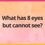 What has 8 eyes but cannot see?