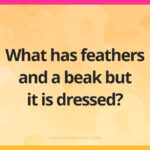 What has feathers and a beak but it is dressed?