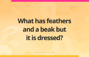 What has feathers and a beak but it is dressed?