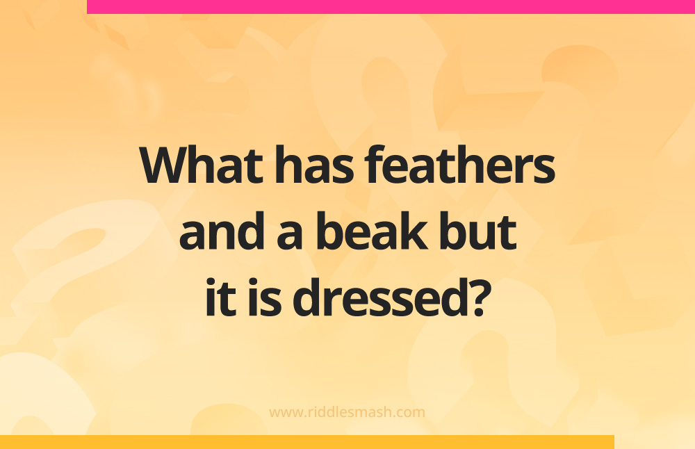 What has feathers and a beak but it is dressed?