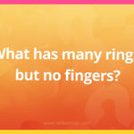 What has many rings, but no fingers?
