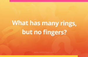 What has many rings, but no fingers?