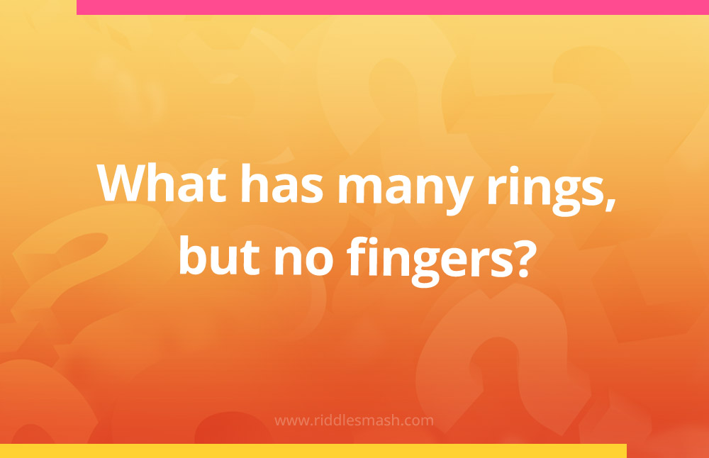 What has many rings, but no fingers?