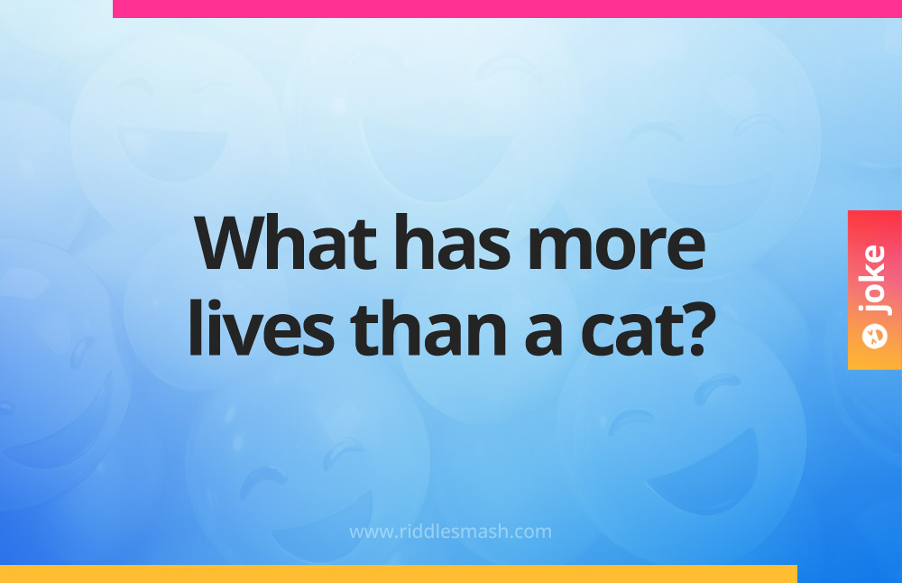 What has more lives than a cat?