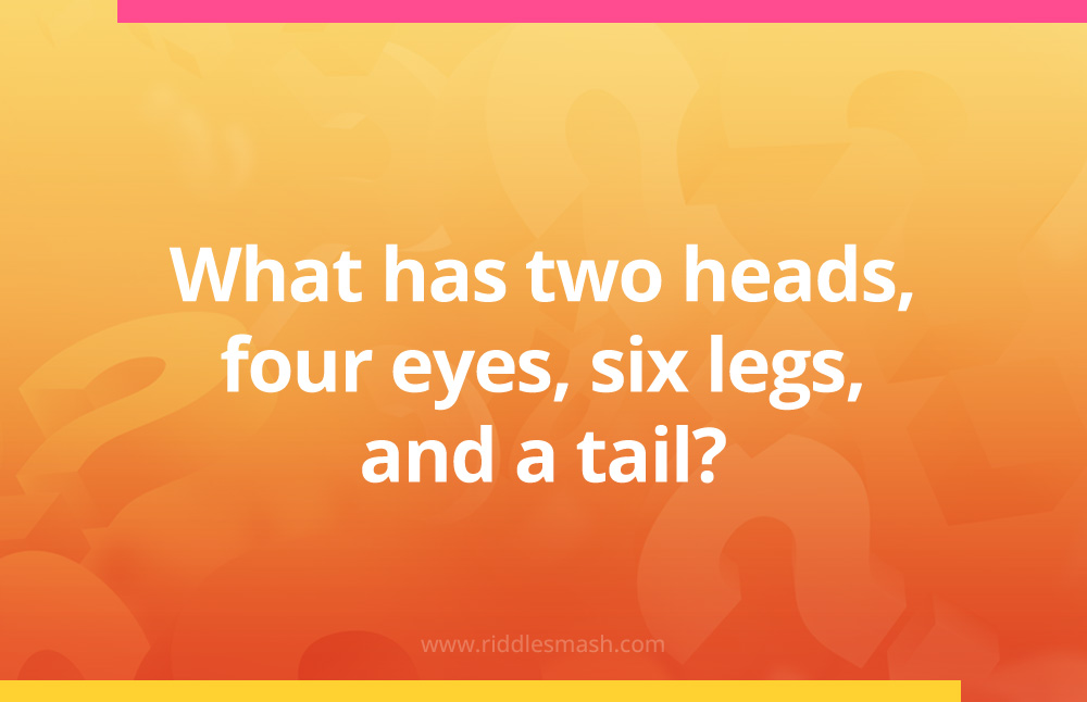 What has two heads, four eyes, six legs, and a tail?
