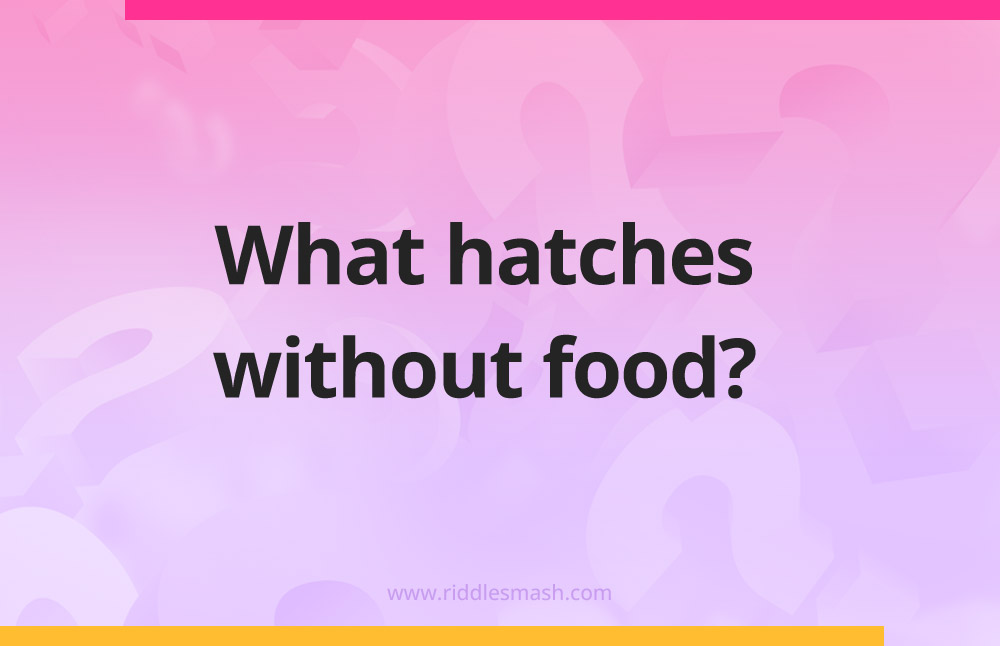 What hatches without food?