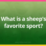 What is a sheep's favorite sport?