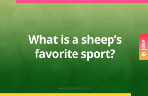 What is a sheep's favorite sport?