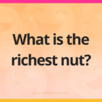 What is the richest nut?