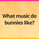 What music do bunnies like?