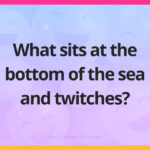 What sits at the bottom of the sea and twitches?