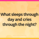 What sleeps through day and cries through the night?