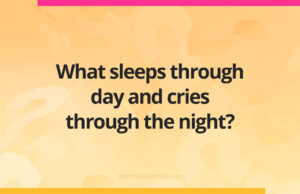 What sleeps through day and cries through the night?