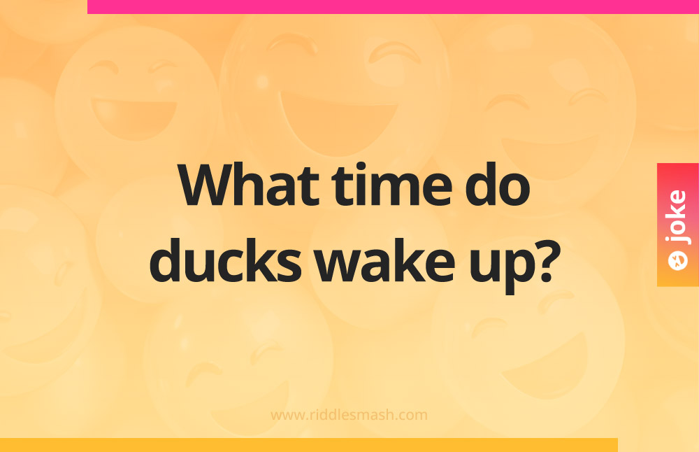What time do ducks wake up?