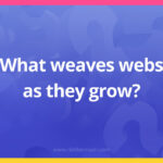 What weaves webs as they grow?