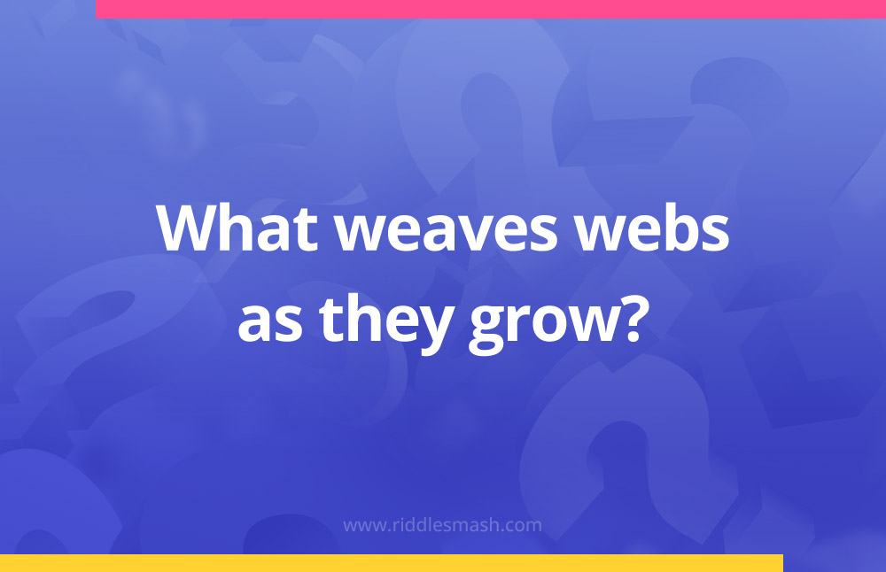 What weaves webs as they grow?
