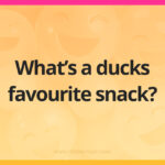 What’s a ducks favourite snack?