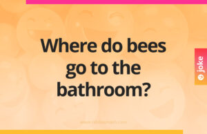 Where do bees go to the bathroom?