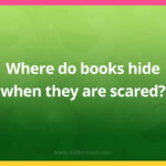 Where do books hide when they are scared?