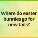 Where do easter bunnies go for new tails?