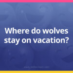Where do wolves stay on vacation?