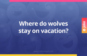Where do wolves stay on vacation?