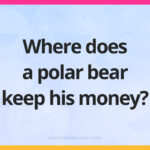 Where does a polar bear keep his money?