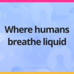 Where humans breathe liquid.