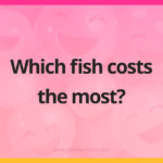 Which fish costs the most?