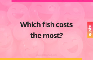 Which fish costs the most?