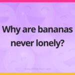 Why are bananas never lonely?