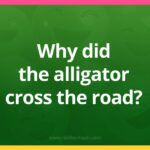Why did the alligator cross the road?