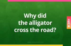 Why did the alligator cross the road?