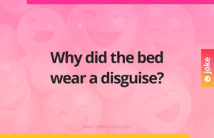 Why did the bed wear a disguise?