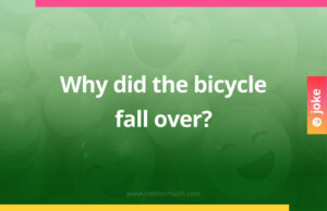 Why did the bicycle fall over?