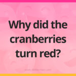 Why did the cranberries turn red?